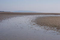 DSC 2509