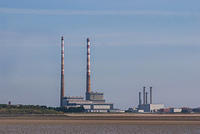 DSC 2542