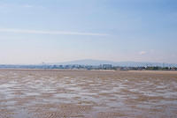 DSC 2572
