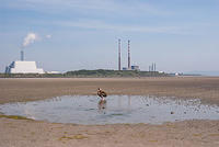 DSC 2592