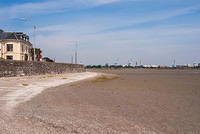DSC 2605