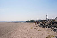DSC 2606