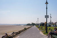 DSC 2607