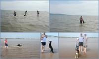 Litoral 3