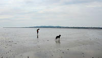 Untitled Panorama1