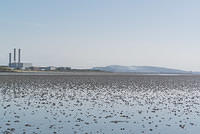 DSC 1280