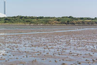 DSC 1282