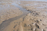 DSC 1296
