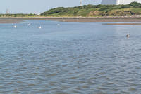 DSC 1309