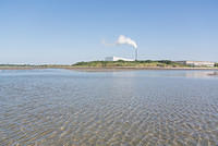 DSC 1312