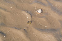 DSC 1322