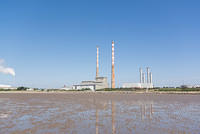 DSC 1352