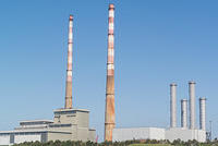 DSC 1353