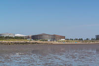 DSC 1359