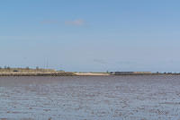 DSC 1360