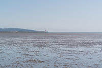 DSC 1361