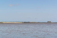 DSC 1362