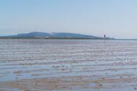 DSC 1372