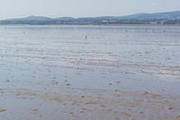 DSC 1379