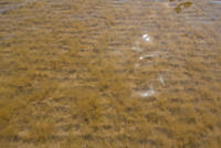 DSC 1399