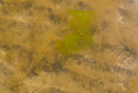DSC 1400