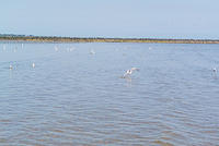 DSC 1411