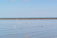 DSC 1414