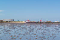 DSC 1432