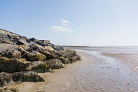 DSC 1443