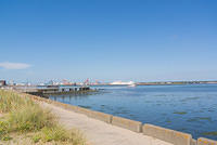 DSC 1448