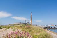 DSC 1449