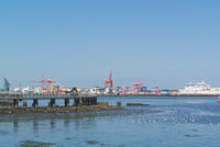 DSC 1450