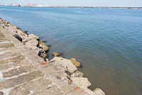 DSC 1471