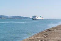 DSC 1474