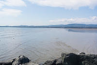 DSC 1475