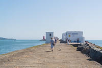 DSC 1480