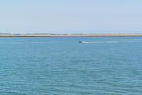 DSC 1492