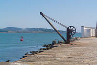 DSC 1504