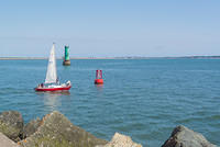 DSC 1520