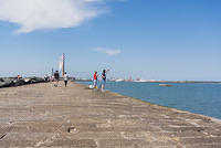 DSC 1554