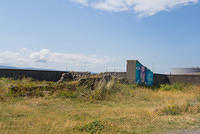 DSC 1556