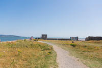 DSC 1557