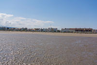 DSC 1584