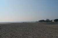 DSC 0893