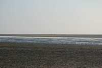 DSC 0924