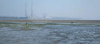 Untitled Panorama1