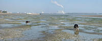 Untitled Panorama3