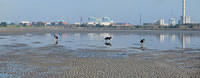 Untitled Panorama4