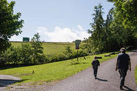 DSC 2698