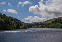 DSC 2724